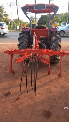 จำหน่ายหนวดกุ้งคราดหญ้าอ้อย จำหน่ายหนวดกุ้งคราดหญ้าอ้อย