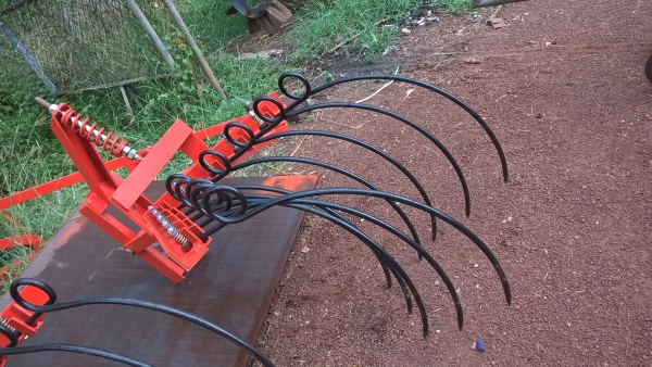 จำหน่ายหนวดกุ้งคราดหญ้าอ้อย จำหน่ายหนวดกุ้งคราดหญ้าอ้อย