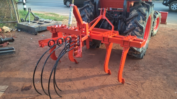 จำหน่ายหนวดกุ้งคราดหญ้าอ้อย จำหน่ายหนวดกุ้งคราดหญ้าอ้อย