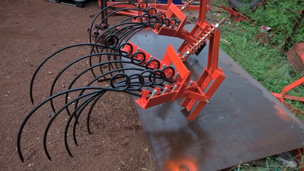 จำหน่ายหนวดกุ้งคราดหญ้าอ้อย