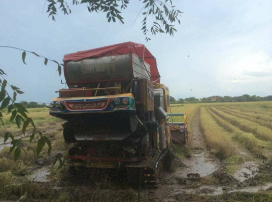 ขายรถเกี่ยวข้าวเจ้าช้างไวไฟปี51เครื่องอีซูซุ260ช่วงล่าง12โรงงาน