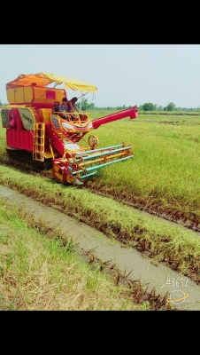 เกษตรพัฒนา รุ่นปลดหนี้ ตัวเดิน10HT เครื่องฮีโน่212แรงJO8C ปั้มไดกิ้น