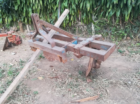 ขายผายกร่องศรีกำแพงแสน