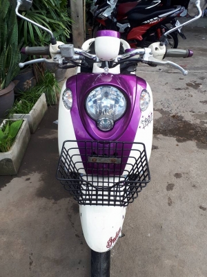 ฟีโน่ เกแยกส่วน สีม่วงขาว ลายแฟชั่น คลาสสิคสวยๆ