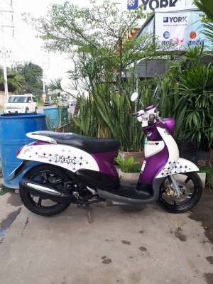 ฟีโน่ เกแยกส่วน สีม่วงขาว ลายแฟชั่น คลาสสิคสวยๆ