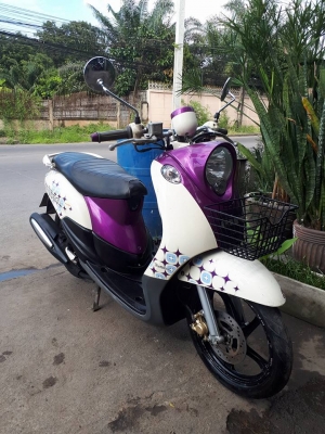 ฟีโน่ เกแยกส่วน สีม่วงขาว ลายแฟชั่น คลาสสิคสวยๆ