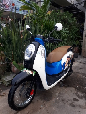 All New Honda Scoopy i สีขาวน้ำเงิน ปี 2556 ลาย Monkey DO รถสวยๆ ขี่ดี หัวฉีดรุ่นใหม่ All New Honda Scoopy i สีขาวน้ำเงิน ปี 2556 ลาย Monkey DO รถสวยๆ ขี่ดี หัวฉีดรุ่นใหม่