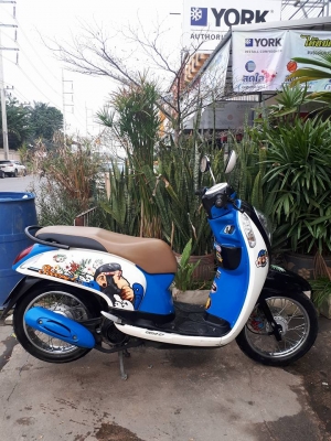 All New Honda Scoopy i สีขาวน้ำเงิน ปี 2556 ลาย Monkey DO รถสวยๆ ขี่ดี หัวฉีดรุ่นใหม่ All New Honda Scoopy i สีขาวน้ำเงิน ปี 2556 ลาย Monkey DO รถสวยๆ ขี่ดี หัวฉีดรุ่นใหม่