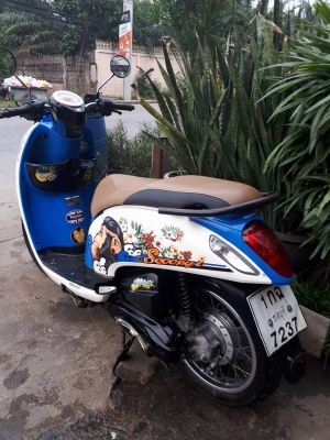 All New Honda Scoopy i สีขาวน้ำเงิน ปี 2556 ลาย Monkey DO รถสวยๆ ขี่ดี หัวฉีดรุ่นใหม่ All New Honda Scoopy i สีขาวน้ำเงิน ปี 2556 ลาย Monkey DO รถสวยๆ ขี่ดี หัวฉีดรุ่นใหม่