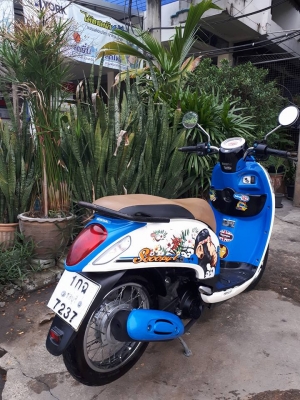 All New Honda Scoopy i สีขาวน้ำเงิน ปี 2556 ลาย Monkey DO รถสวยๆ ขี่ดี หัวฉีดรุ่นใหม่ All New Honda Scoopy i สีขาวน้ำเงิน ปี 2556 ลาย Monkey DO รถสวยๆ ขี่ดี หัวฉีดรุ่นใหม่