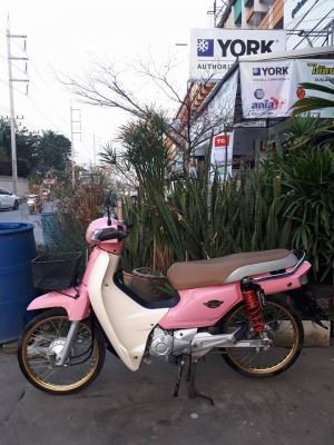 รุ่นใหม่ล่าสุด Dream SUPER Cup (สตาร์ทมือ ) สีชมพูขาว ปี 2559 รถสวยวิ๊ง