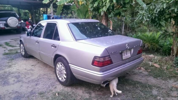 BENZ E200A จดปี พ.ค 39 สวยเดิม สภาพเยี่ยม พร้อมใช้พร้อมโอน ครับท่าน