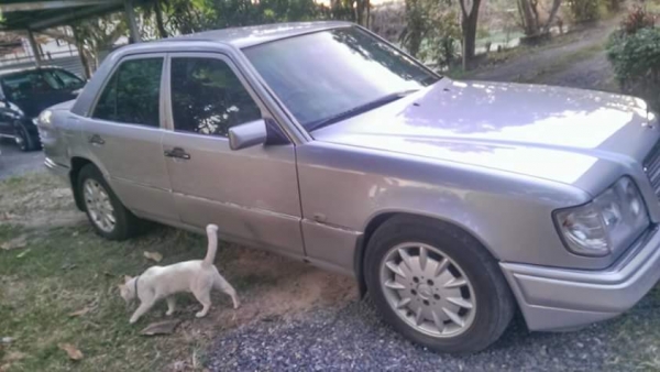 BENZ E200A จดปี พ.ค 39 สวยเดิม สภาพเยี่ยม พร้อมใช้พร้อมโอน ครับท่าน