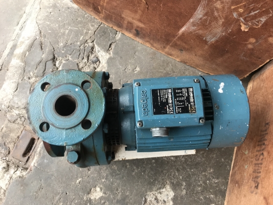 ขายป้มน้ำหอยโข่ง Calpeda 4HP. 380V made in Italy ใบพัดเหล็กหล่อ ขนาดเข้า 2.5นิ้ว ออก 1.5นิ้ว สภาพสวยมากใช้งานมาน้อย หมุนนิ่ม พร้อมใช้งาน