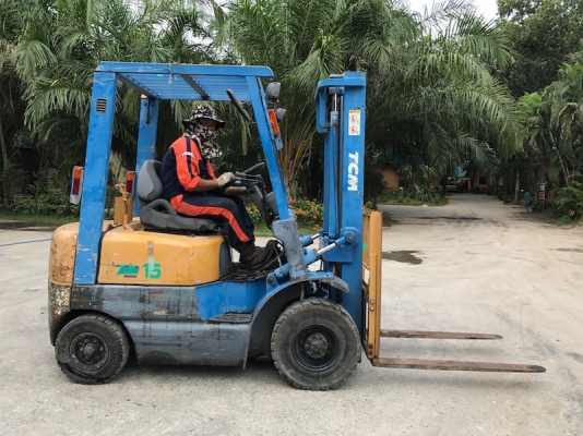 ขายFORKLIFT TCM รุ่นFD15(1.5ตัน)ดีเซล สวยเดิมจากญี่ปุ่น ยังไม่เคยใช้ในไทย 155,000เท่านั้น!!