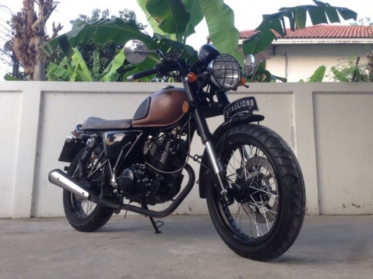 Stallions Centaur Cafe Mega น้ำตาลด้าน รุ่นพิเศษ 11 เดือน สภาพสวย