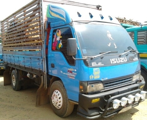 ISUZU NPR 135 HP TURBO 4HG1 กระบะคอกเหล็กยาว 5 เมตรสภาพสวยจัด เครื่องแน่นดีไม่มีเยิ้ม หัวเก๋งตาหวานสีบางเดิมภายในเก๋งคอนโซลสวยครบ แอร์เย็น พ.เพาเวอร์ ก.ไฟฟ้าอุปกรณ์ภายในครบพร้อม ช่วงล่างคัชซีสวย ติด F หน้าหลัง ยาง 8.25 ขอบ 16 เอกสารทะเบียนภาษีครบพร้อมโอน