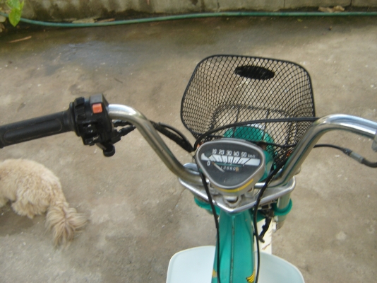 ขายชาลีเครื่องดรีม