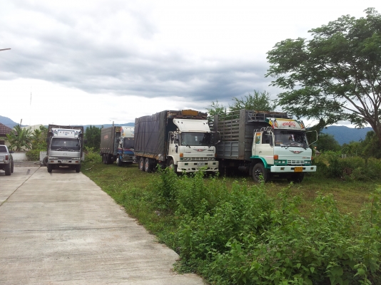 ขาย 10 ล้อ 1 เพลา