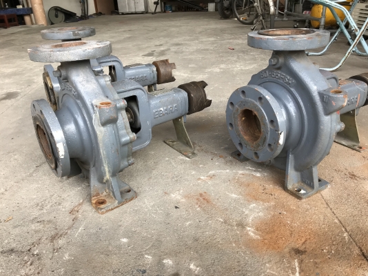 ขายหัวปั้มน้ำหอยโข่ง Ebara 80x65FSH ขนาดเข้า 3นิ้ว ออก 2.5นิ้ว ใบพัดทองเหลือง สภาพสวยมาก หมุนนิ่ม มี 3ตัวครับ