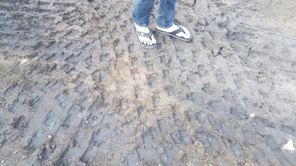 ขายรถบดล้อเหล็กสั่นสะทือน