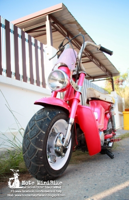 ขาย ชาลีแท้ๆ Honda Chaly *ราคา 15,900 บาท
