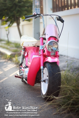 ขาย ชาลีแท้ๆ Honda Chaly *ราคา 15,900 บาท