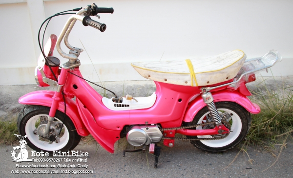 ขาย ชาลีแท้ๆ Honda Chaly *ราคา 15,900 บาท