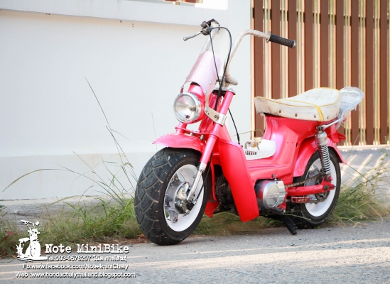 ขาย ชาลีแท้ๆ Honda Chaly *ราคา 15,900 บาท