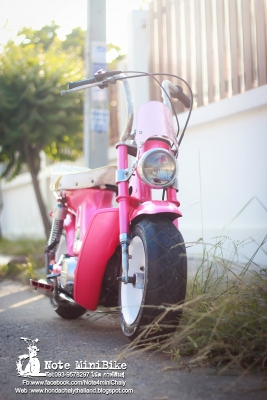 ขาย ชาลีแท้ๆ Honda Chaly *ราคา 15,900 บาท