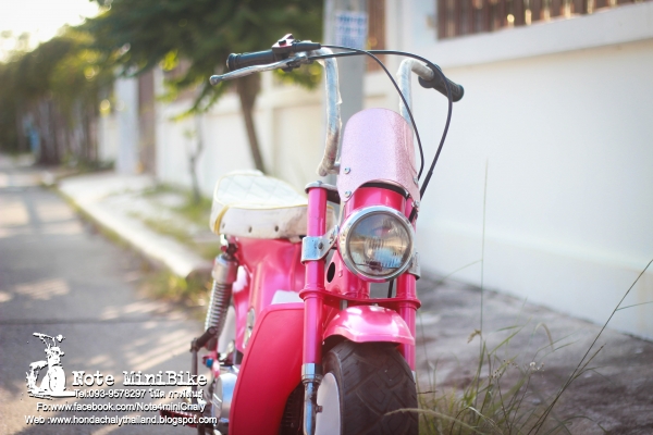 ขาย ชาลีแท้ๆ Honda Chaly *ราคา 15,900 บาท