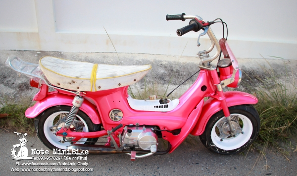 ขาย ชาลีแท้ๆ Honda Chaly *ราคา 15,900 บาท