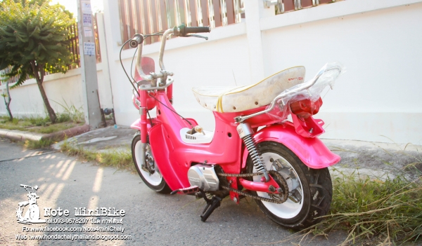 ขาย ชาลีแท้ๆ Honda Chaly *ราคา 15,900 บาท