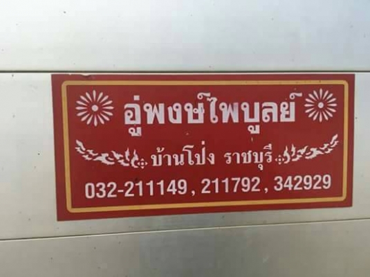 ขาย HINO โปรเฟีย เครื่อง P11 320 แรง พ่วงแม่ลูกกระบะเนียมคอกเกษตร อู่ พงษ์ไพบูลย์