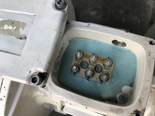 ขายมอเตอร์สั่น-เขย่า Buhler made in Italy 380V ตัวใหญ่ สั่นแรง สภาพใหม่มาก พร้อมใช้งาน