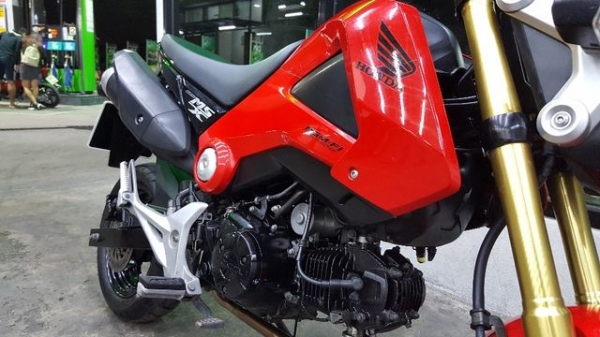 ขออนุญาตขาย HONDA MSX 125 CC. ฟรีค่าโอน