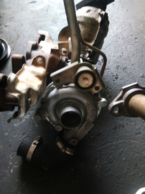 เทอร์โบ มังกร ครบชุดแกนแน่นๆ