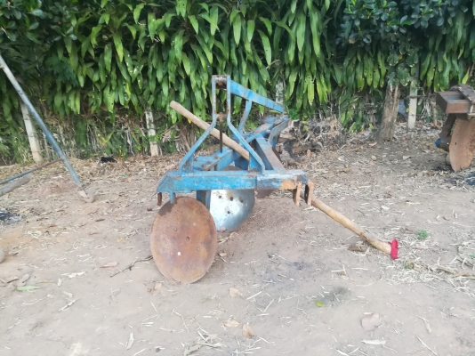 ขายผานสาม