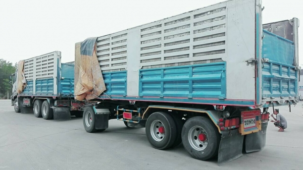 ขาย 360 พ่วงแม่ลูก กระบะเหล็กคอกเกษตร อู่ ส สหะกิจ รถปี 53 ขาย 360 พ่วงแม่ลูก กระบะเหล็กคอกเกษตร อู่ ส สหะกิจ รถปี 53