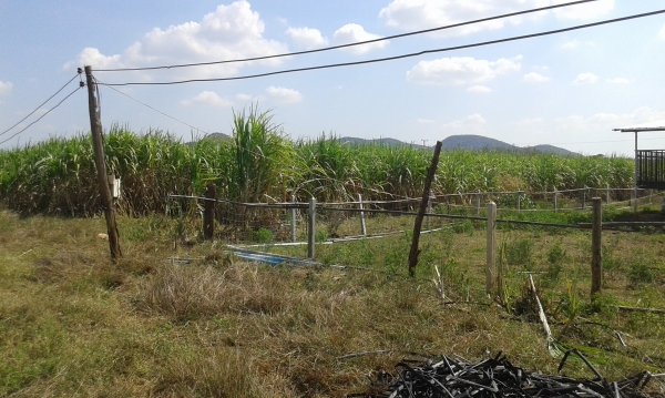 ขายที่ดินเหมาะทำการเกษตร ราคาถูกครับ ยกแปลง หรือแบ่งได้ครับ ขายที่ดินเหมาะทำการเกษตร ราคาถูกครับ ยกแปลง หรือแบ่งได้ครับ