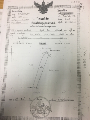 ด่วนต้องการขายที่ดินสวยอำเภอปักธงชัย ด่วนต้องการขายที่ดินสวยอำเภอปักธงชัย