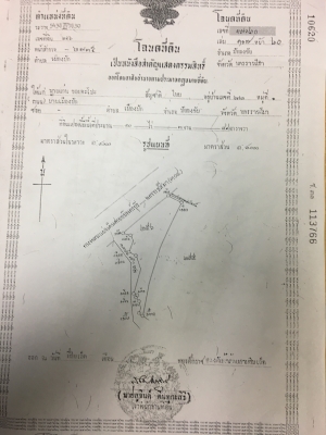 ด่วนต้องการขายที่ดินสวยอำเภอปักธงชัย ด่วนต้องการขายที่ดินสวยอำเภอปักธงชัย