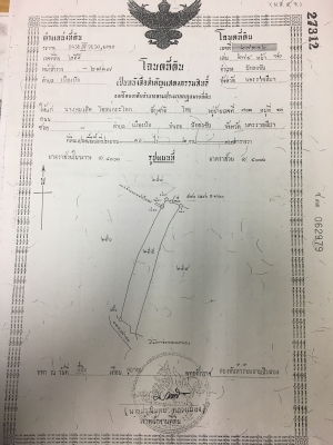 ด่วนต้องการขายที่ดินสวยอำเภอปักธงชัย ด่วนต้องการขายที่ดินสวยอำเภอปักธงชัย