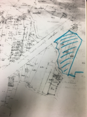 ด่วนต้องการขายที่ดินสวยอำเภอปักธงชัย ด่วนต้องการขายที่ดินสวยอำเภอปักธงชัย