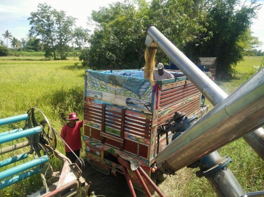 ขายด่วนรถเกี่ยวข้าวพร้อมใช้งาน ติดต่อ 0970709318 ต้อม ดูคลิปการเกี่ยวได้ด้านล่าง