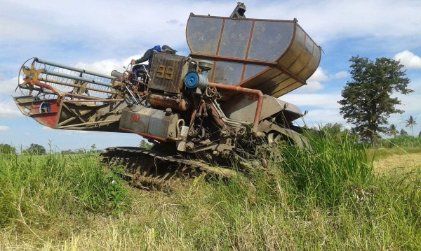 ขายด่วนรถเกี่ยวข้าวพร้อมใช้งาน ติดต่อ 0970709318 ต้อม ดูคลิปการเกี่ยวได้ด้านล่าง