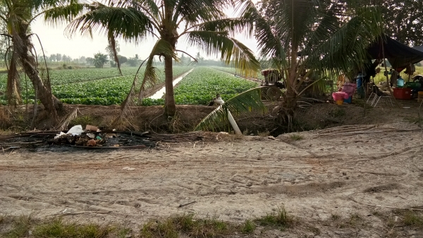 ขายที่ดินเนื้อที่.7ไร่2งานขาย1ล้าน.ฉโนดครับอ่านรายละเอียดเลยครับ.1ล้านออกค่าโอนเอง.ด่วนนะครับ.ที่สวยๆ..