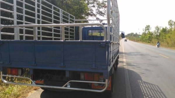 ISUZU 115