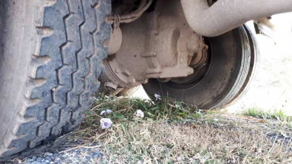 ขายดาวน์ 550,000 ISUZU DECA 360 ปี 53 แม่ลูกดั้มเกษตร  แม่ดั้มยาว 6.20 ม. ลูก 3 คาน ยาว 7.0 ม. ดั้มอู่ ส.สมบัติ ดาวน์ 550,000 ค้าง 3 งวด  ผ่อน 60,000&times;34 รถอยู่ นางรอง 090-772-3710 090-772-3708