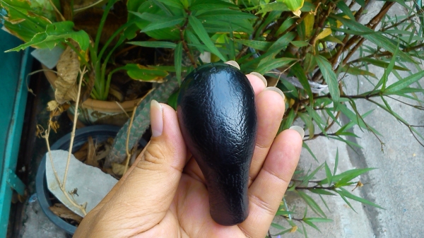 หัวเกียร์ธรรมดา Manual เดิมๆติดรถ 5เกียร์ มือสองจากญี่ปุ่น หัวเกียร์ธรรมดา Manual เดิมๆติดรถ 5เกียร์ มือสองจากญี่ปุ่น